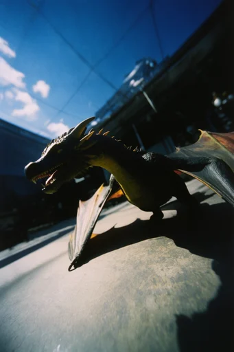 Dynamic Fisheye Action style reference image — analog film grain