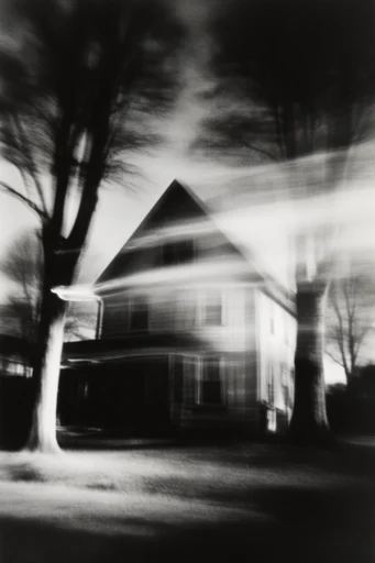 Kinetic Spectral Monochrome style reference image — heavy film grain