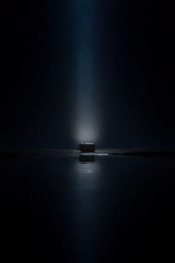 Minimalist Abyssal Neon style reference image — stark chiaroscuro