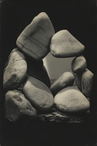 Monochrome Surrealist Noir style reference image — surrealist monochrome collage