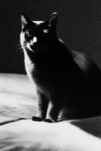 Gritty Alpine Noir style reference image — halftone dither