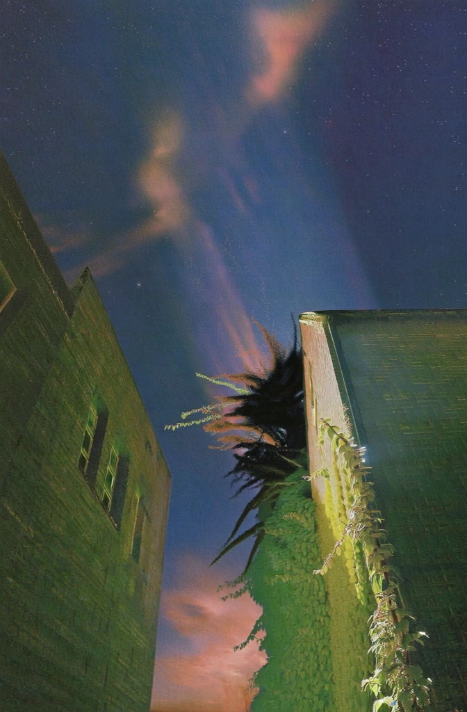 surreal retro-futuristic cinematic photography, narrow alleyway between old brick buildings, vibrant lime green ivy climbing high, central beam of ethereal light descending from a starry indigo night sky, grainy lo-fi film texture, dramatic theatrical lighting, soft glowing edges, low-angle perspective looking upward, deep navy and violet gradients, mystical dreamlike atmosphere, high contrast, saturated vintage palette, ethereal floating dust particles in the spotlight beam.