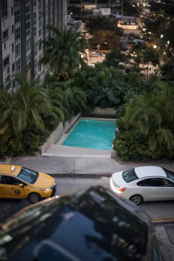 Lush Aerial Oasis style reference image — high-angle drone perspective