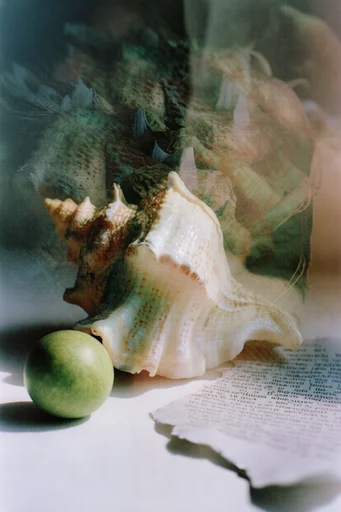 Ethereal Layered Introspection style reference image — surreal macro textures