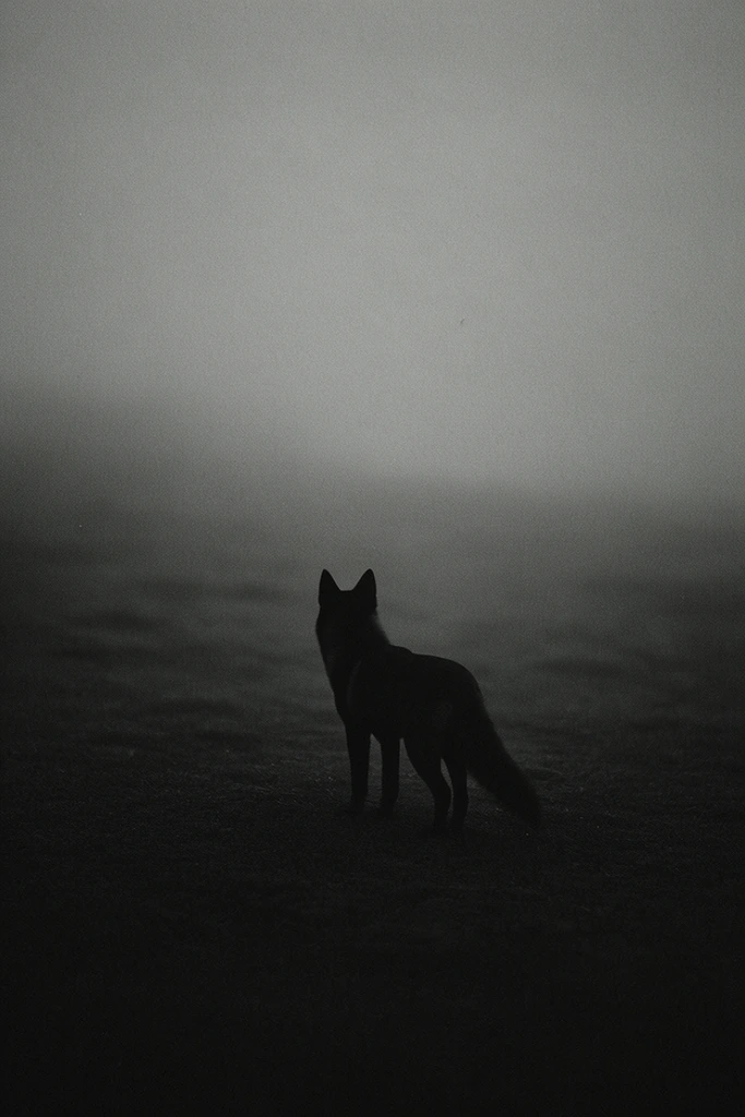 Redacted Coastal Noir style AI image example 3
