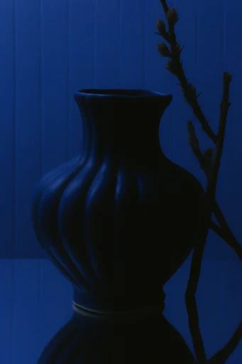 Cobalt Noir Minimalist style reference image — stark high-contrast silhouette