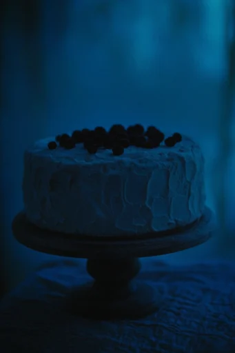 Cinematic Twilight Noir style reference image — melancholic isolation