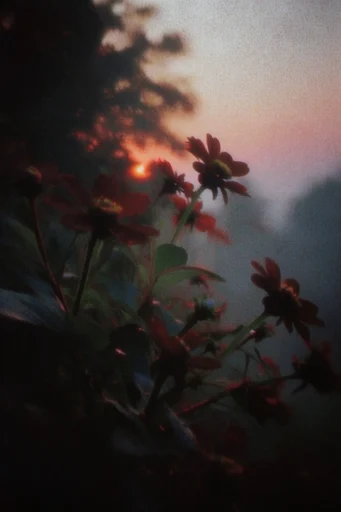 Nostalgic Analog Introspection style reference image — warm amber color palette