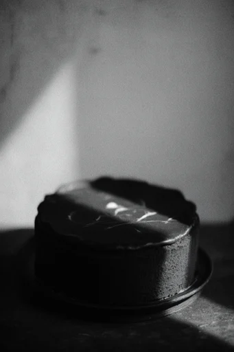 Cinematic Monochrome Minimalism style reference image — tactile texture