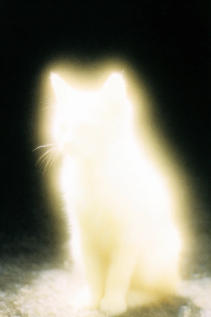 Ethereal Spectral Chiaroscuro style AI image example 3