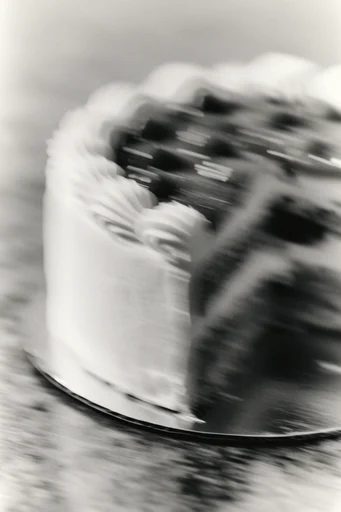 Ethereal Kinetic Monochrome style reference image — dynamic movement