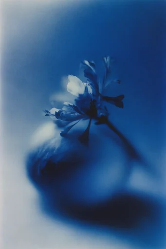 Monochromatic Ethereal Blur style reference image — ethereal motion blur