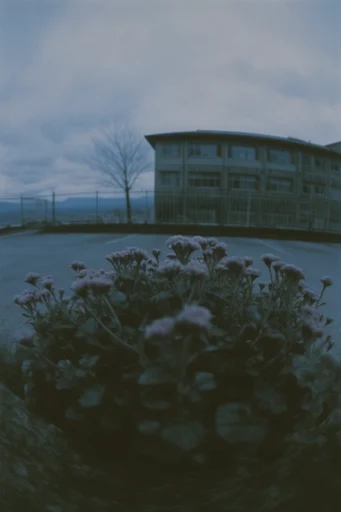 Gritty Cinematic Brutalism style reference image — harsh direct flash