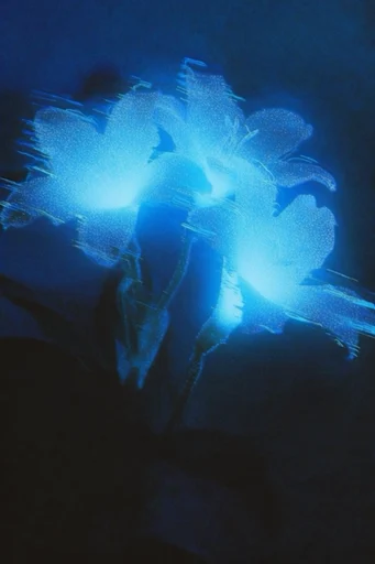 Luminescent Spectral Glitch style reference image — ethereal cyanotype texture