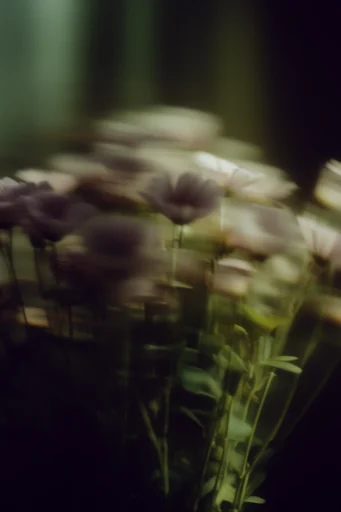 Nocturnal Motion Haze style reference image — liminal night photography
