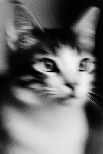 Spectral Analog Noir style reference image — harsh flash lighting