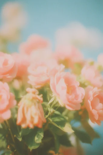 Dreamy Analog Haze style reference image — lo-fi texture