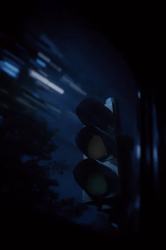 Cinematic Gothic Nocturne style reference image — atmospheric twilight gothic