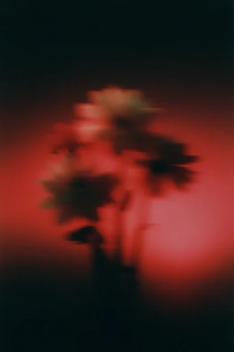 Kinetic Crimson Silhouette style reference image — moody atmospheric grain