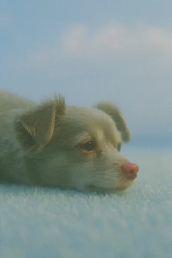 Ethereal Pastel Nostalgia style reference image — muted color gradients