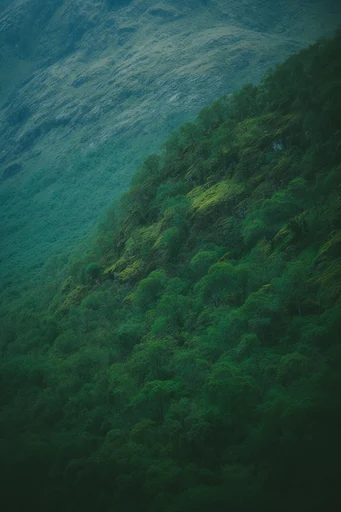 Aerial Verdant Solitude style reference image — high-angle aerial photography