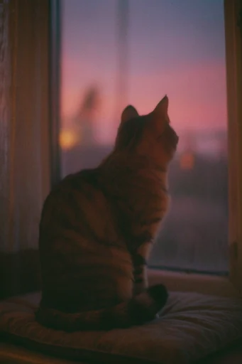 Nostalgic Twilight Cinema style reference image — hazy atmospheric lighting