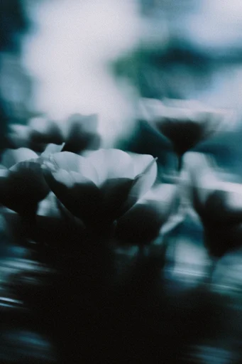 Kinetic Indigo Noir style reference image — ghostly silhouettes