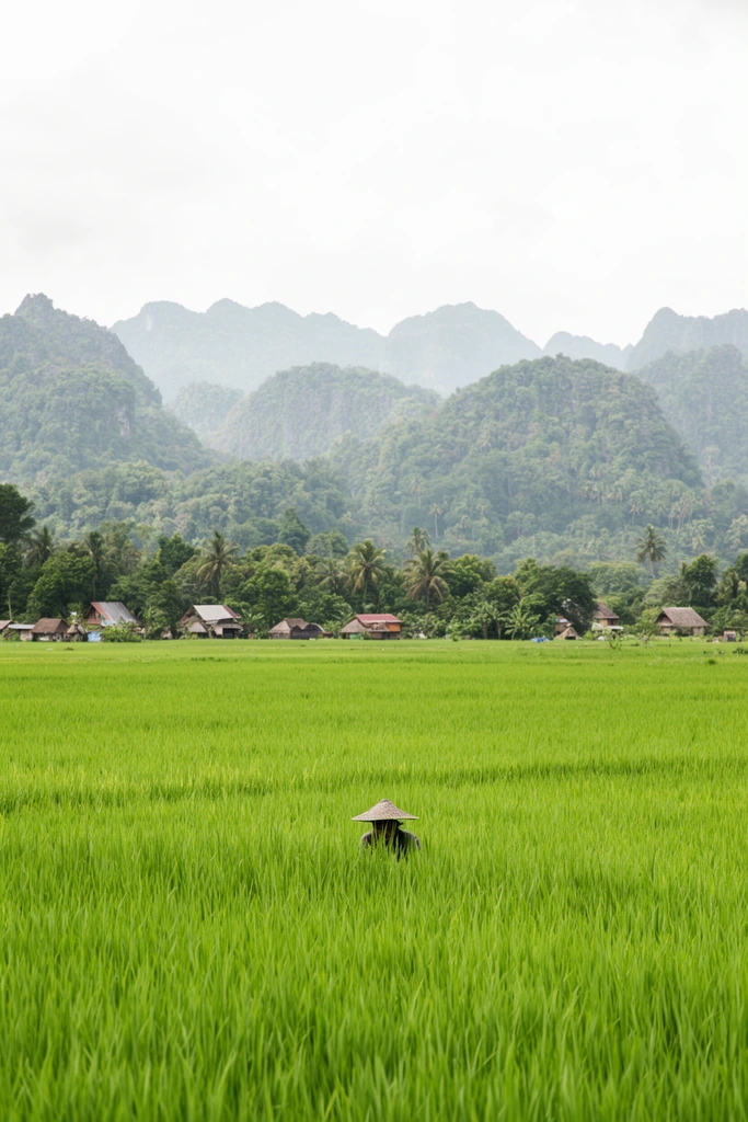 bright green rice paddy, worker hidden in tall grass, tropical village houses nestled in lush trees, hazy forested karst mountains, overcast sky, wide landscape