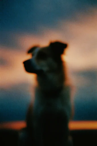 Dreamy Nocturnal Blur style reference image — liminal aesthetic