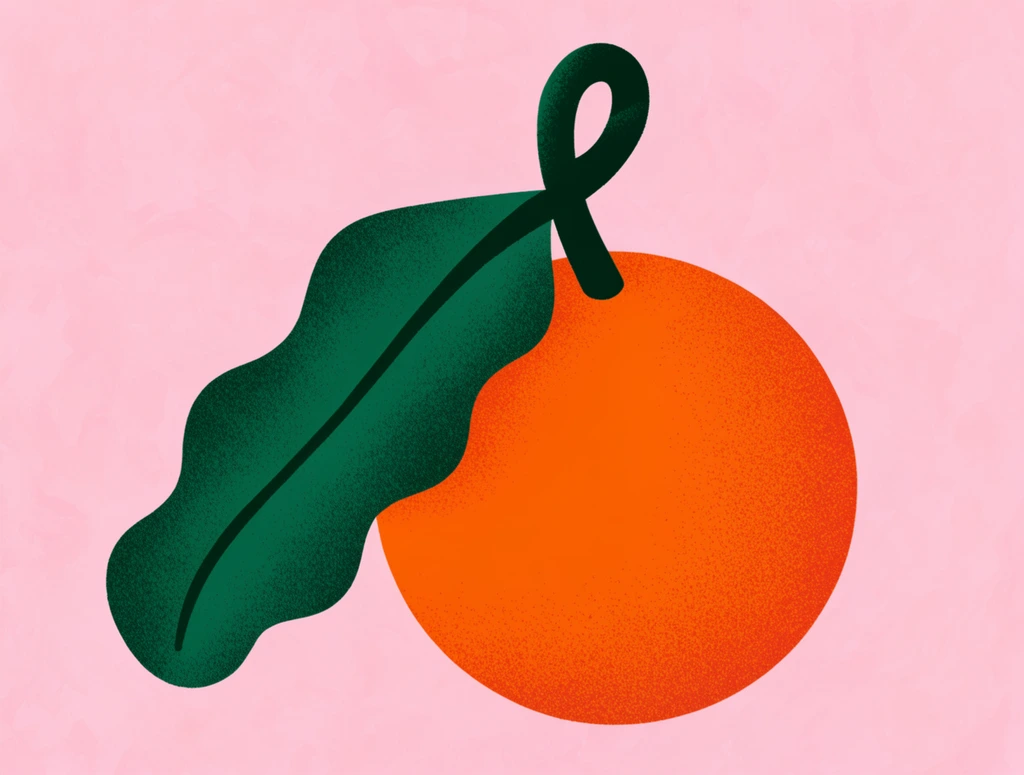 stylized illustration of a whole orange, vibrant textured orange circle, thick dark green looped stem, single large undulating dark green leaf, pastel pink background with subtle painterly mottling, flat graphic design, mid-century modern aesthetic, risograph print style, grainy stippled shading, bold color blocking, minimalist