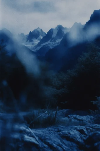 Nocturnal Cyanotype Melancholy style reference image — monochromatic cyan and cobalt blue