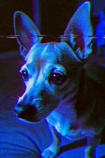 Luminescent Cyber-Noir style reference image — cybernetic organic texture