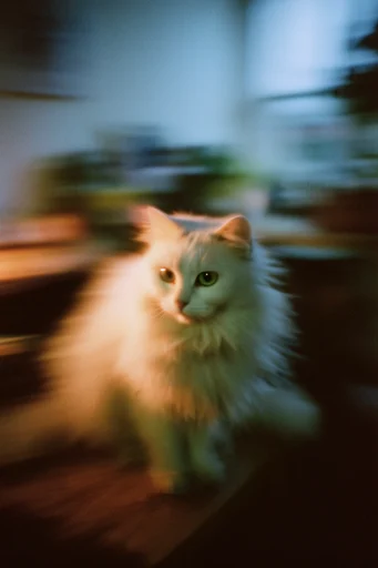 Cinematic Nocturnal Blur style reference image — anamorphic lens flare