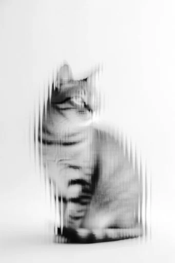 Monochrome Glitch Noir style reference image — abstract silhouette
