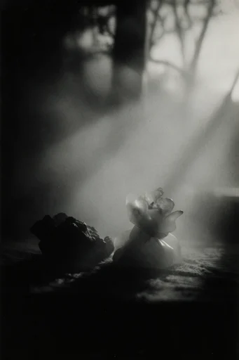 Atmospheric Noir Pictorialism style reference image — heavy film grain