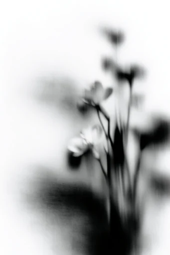 Spectral Minimalist Motion style reference image — overexposed minimalist background