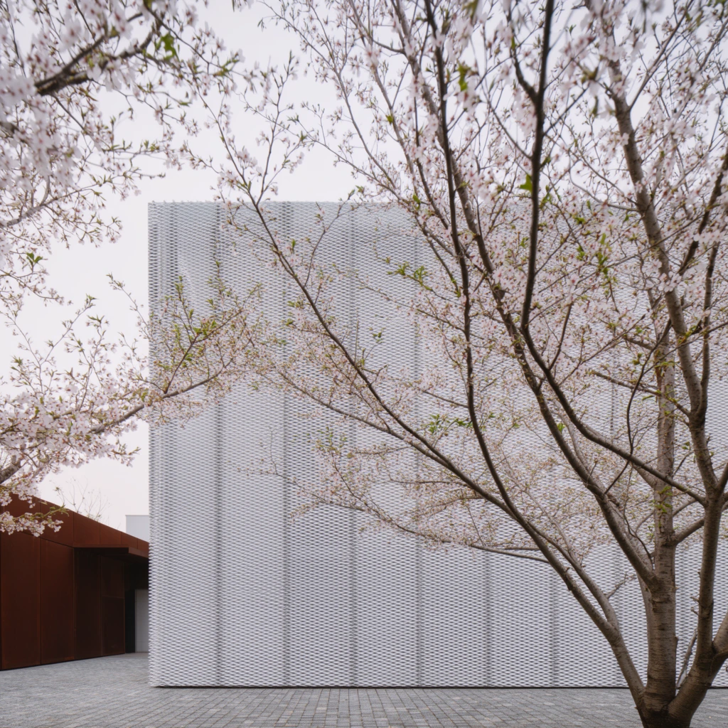 modern architecture, white perforated metal facade, framed by delicate cherry blossom trees with pale pink blooms, branching trunks in foreground, paved cobblestone courtyard, secondary structure with rusty brown panels, overcast sky, soft diffused lighting, architectural photography, neutral tones