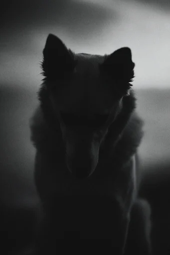Cinematic Monochrome Minimalism style reference image — tactile texture