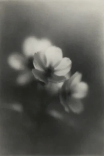 Ethereal Noir Pictorialism style reference image — dreamlike silhouette