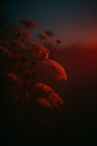 Crimson Nocturnal Liminality style reference image — suburban gothic