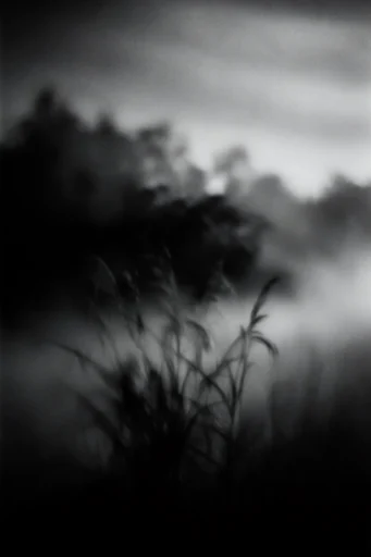 Spectral Monochrome Motion style reference image — heavy film grain