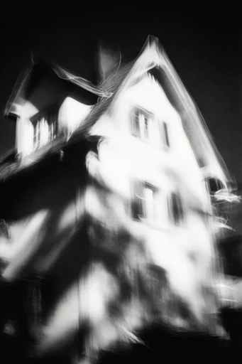 Kinetic Spectral Noir style reference image — black and white monochrome