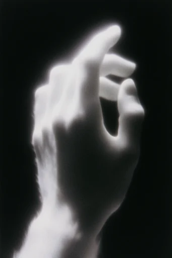 Spectral Luminescent Noir style reference image — pitch-black background