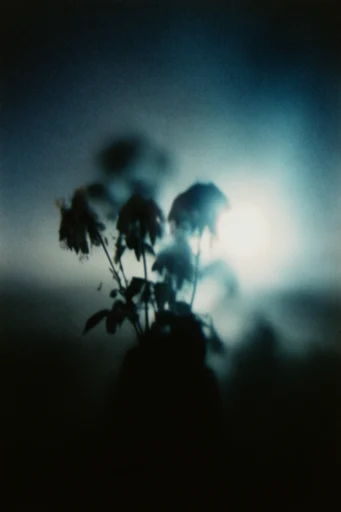Cinematic Nocturnal Liminality style reference image — dense fog and particulates