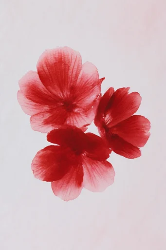 Crimson Tactile Minimalism style reference image — high contrast editorial