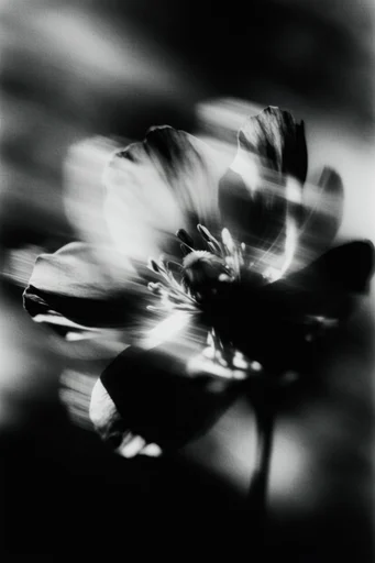 Ethereal Noir Motion style reference image — surreal long exposure