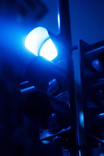 Bioluminescent Cobalt Noir style reference image — dramatic chiaroscuro