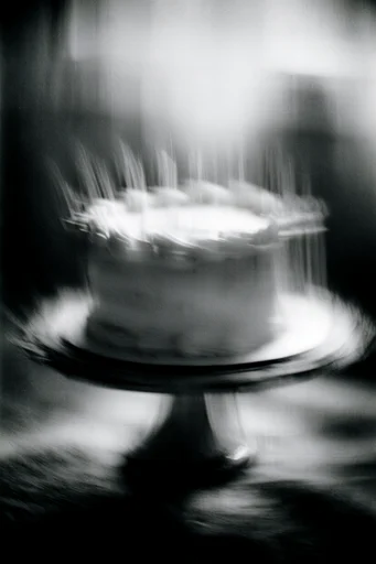 Monochrome Ethereal Tempest style reference image — liminal nature photography