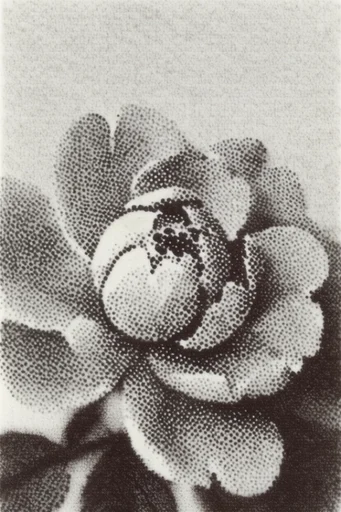Textured Monochromatic Print style reference image — vintage photogravure