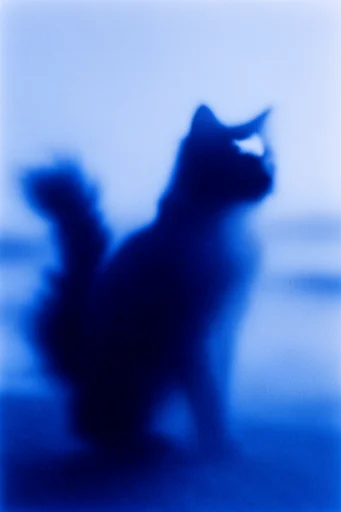 Ethereal Cobalt Grain style reference image — stippled airbrush effect